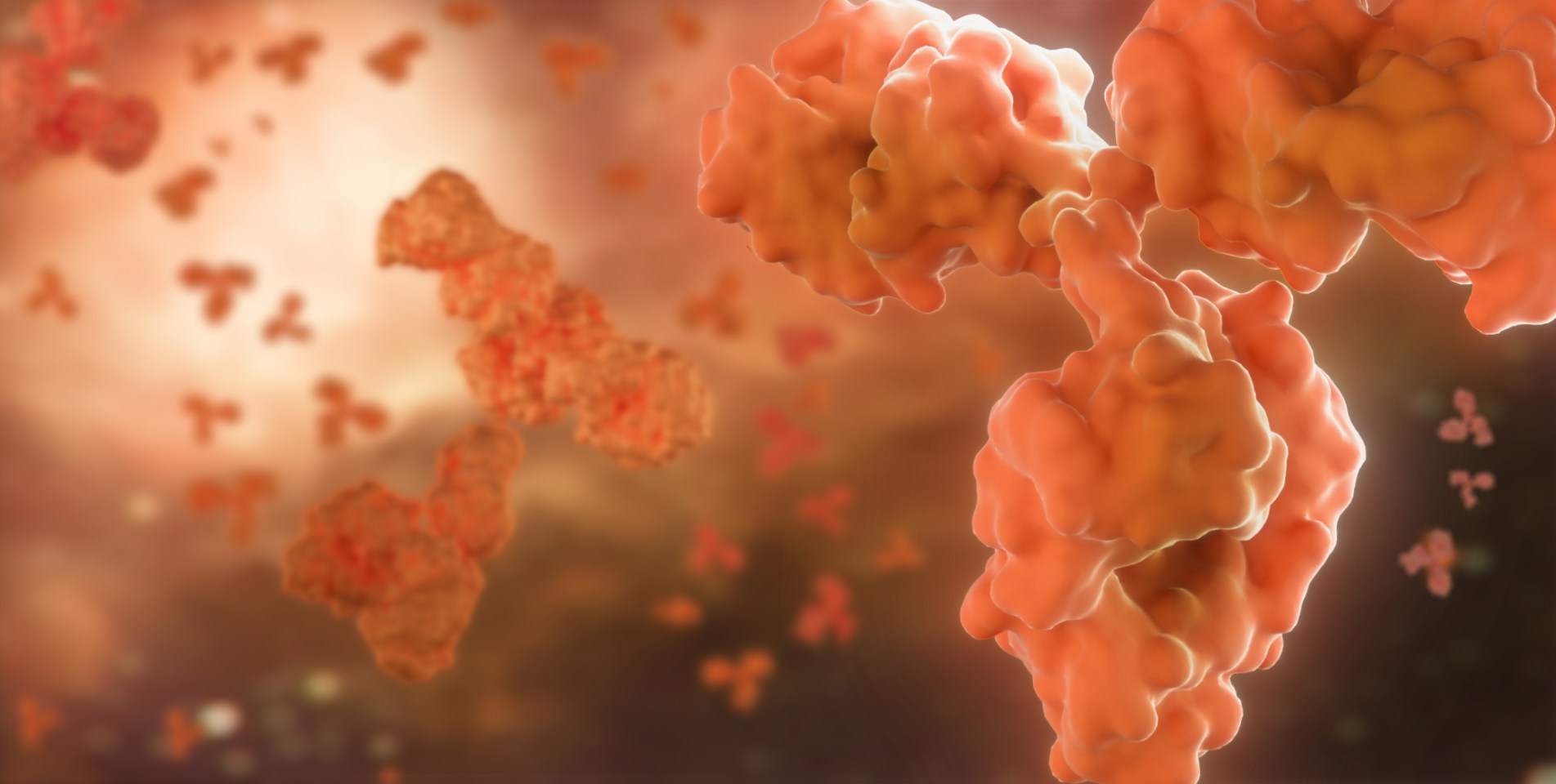 東富龍科技集團股份有限公司